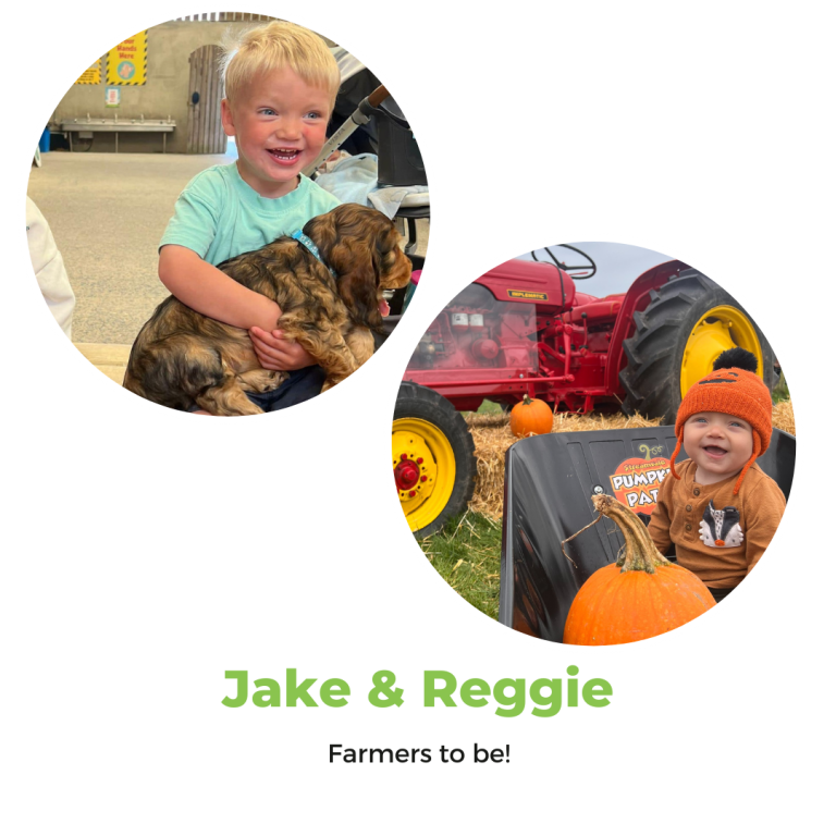 Team Stream Streamvale Open Farm