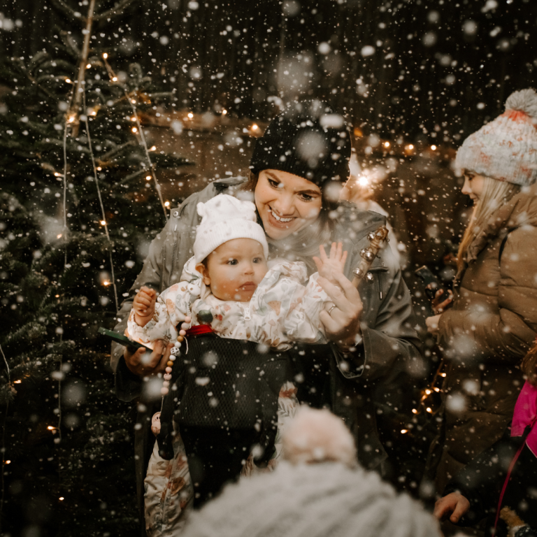 Magical Christmas Experience Streamvale Open Farm