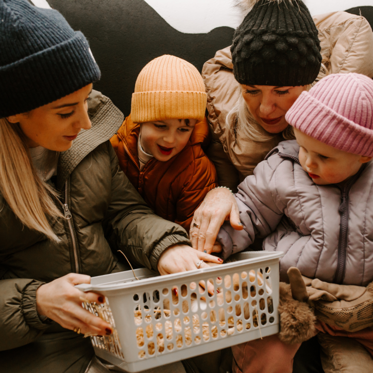 Magical Christmas Experience Streamvale Open Farm