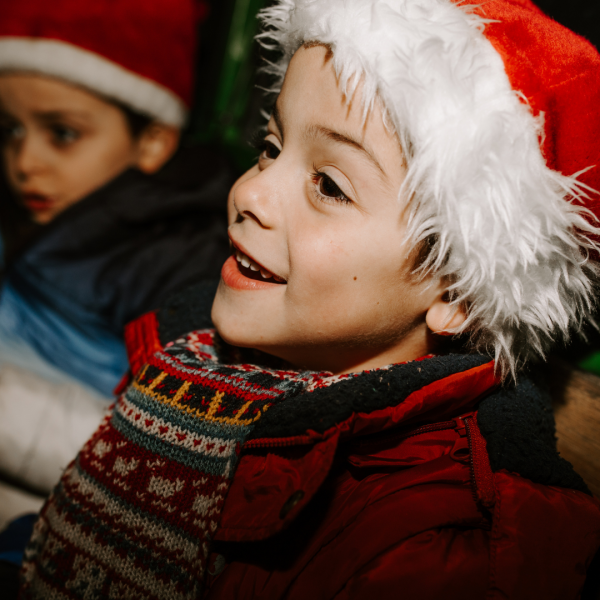 Magical Christmas Experience Streamvale Open Farm